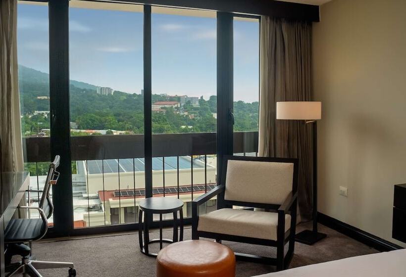 Люкс, Hilton San Salvador