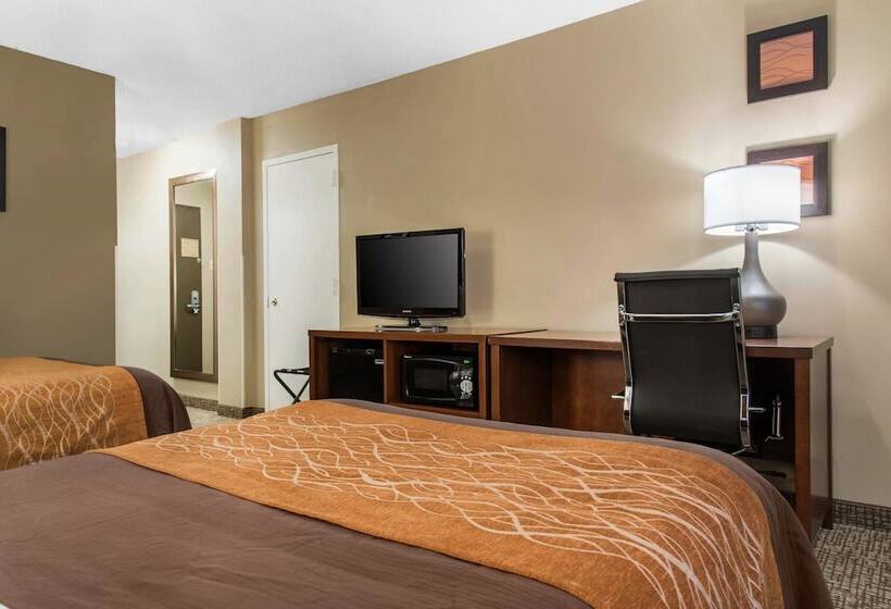 Номер Стандарт 2 Двуспальные Кровати, Comfort Inn Msp Airport  Mall Of America
