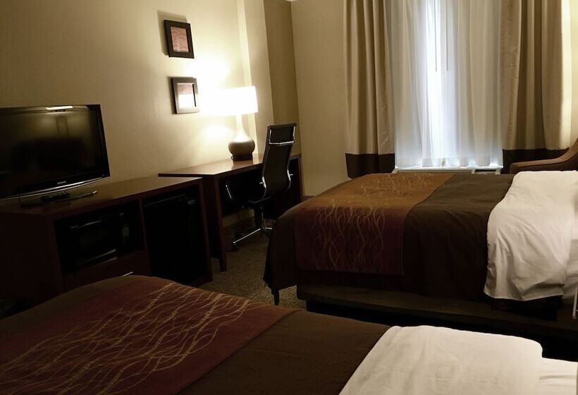Номер Стандарт 2 Двуспальные Кровати, Comfort Inn Msp Airport  Mall Of America