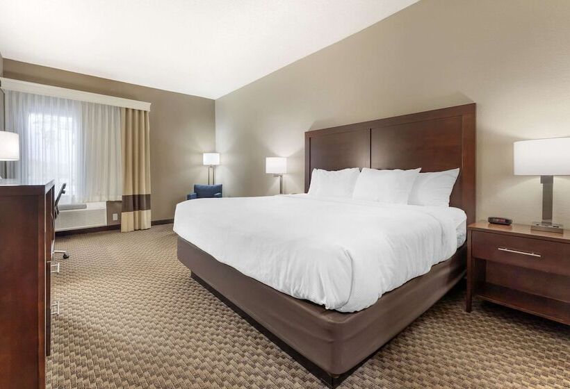 标准间带双人床, Comfort Inn & Suites