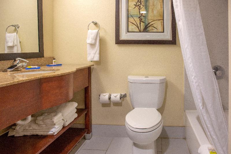 Стандартный Номер Кровать Кинг, Holiday Inn Express Harrisburg Sw   Mechanicsburg, An Ihg