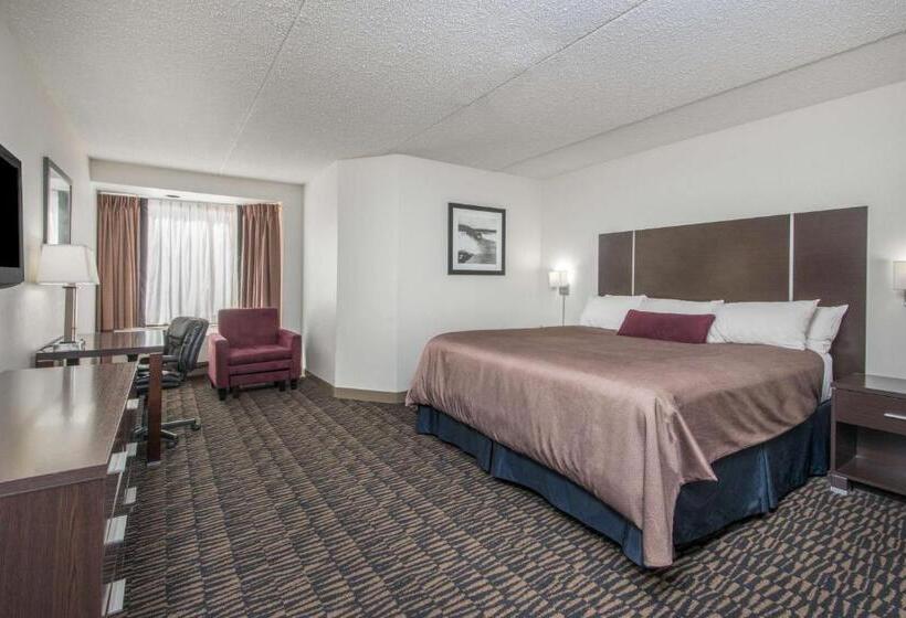 キングサイズベッドのスタンダードルーム, Ramada Plaza By Wyndham Niagara Falls