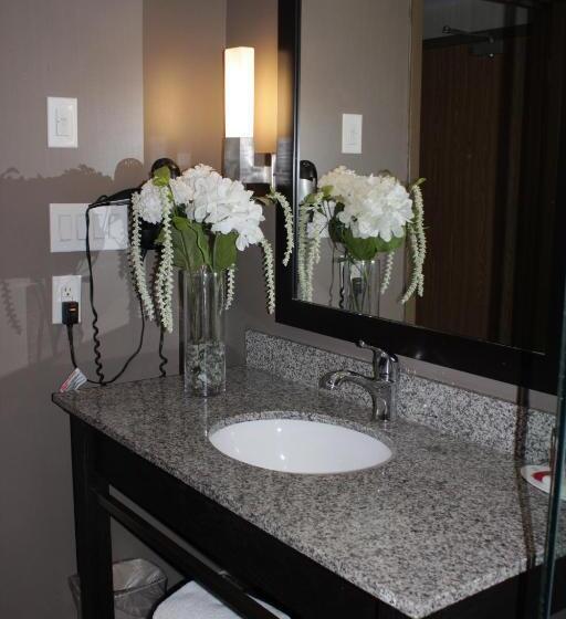 スタンダードルーム, Ramada Plaza By Wyndham Niagara Falls