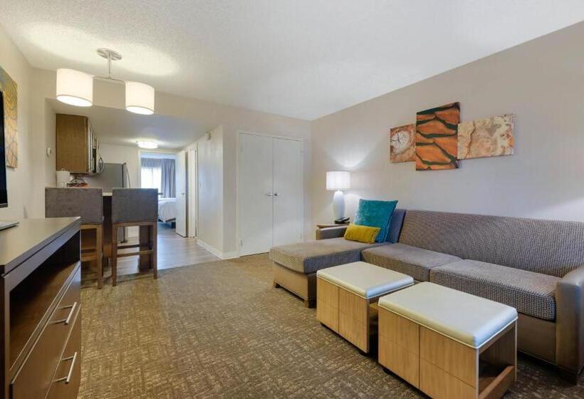 标准工作室, Staybridge Suites Orlando Royale Parc Suites, An Ihg