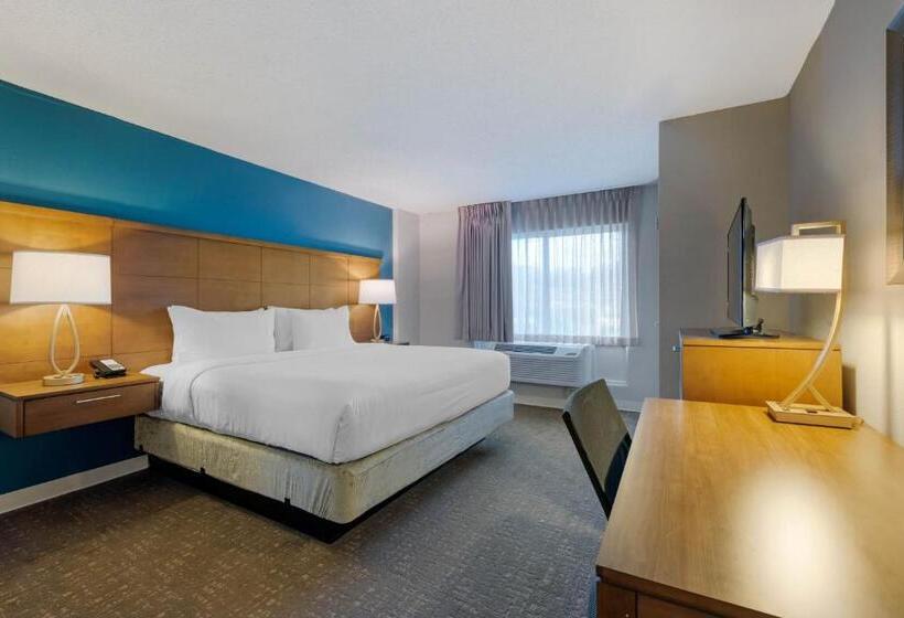 适合残疾人士使用的带超级大床的标准间, Staybridge Suites Orlando Royale Parc Suites, An Ihg