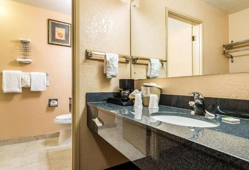 Номер Стандарт Адаптированный для Инвалидов, Surestay Hotel By Best Western Wenatchee