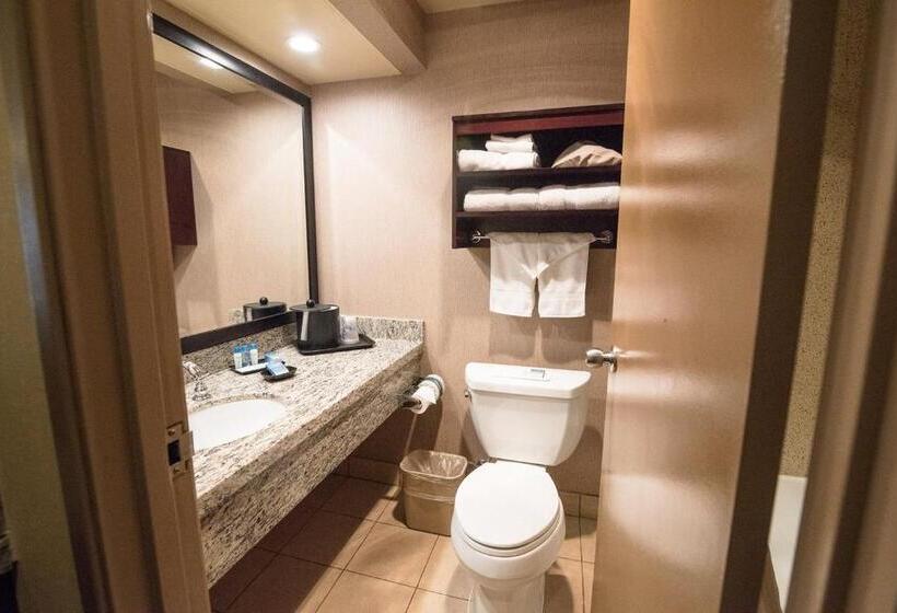 Номер Deluxe Кровать Кинг, Best Western Plus Redondo Beach Inn