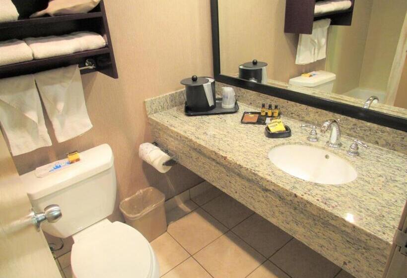 Номер Стандарт 2 Двуспальные Кровати, Best Western Plus Redondo Beach Inn