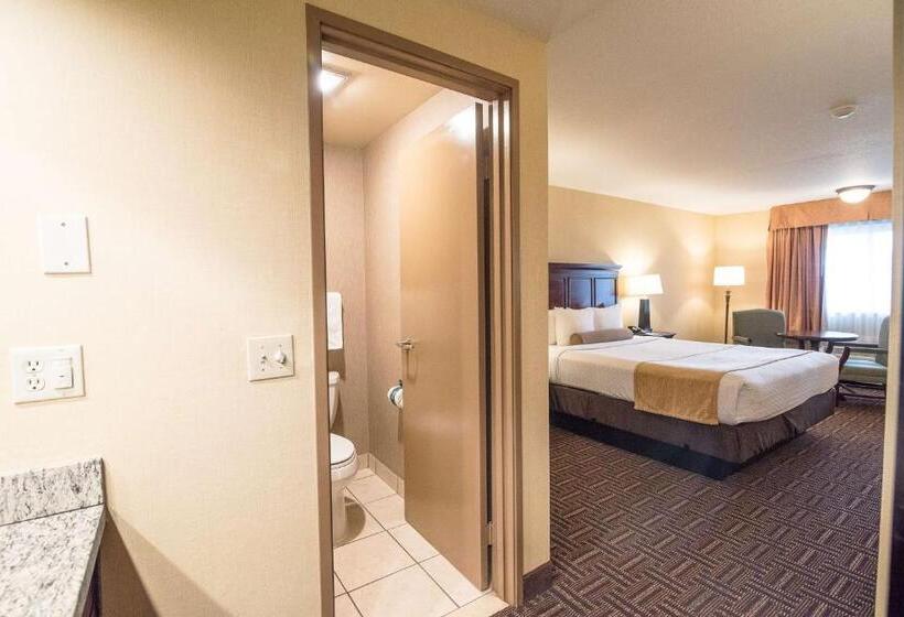Стандартный Номер Кровать Кинг, Best Western Plus Redondo Beach Inn
