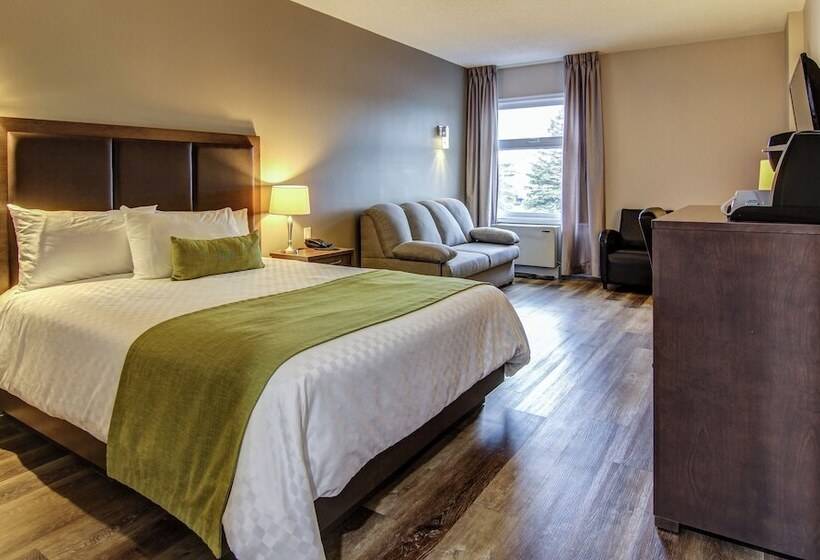 Номер Стандарт 2 Двуспальные Кровати, Hôtel Du Jardin