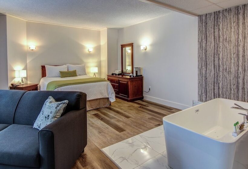 Номер Deluxe, Hôtel Du Jardin