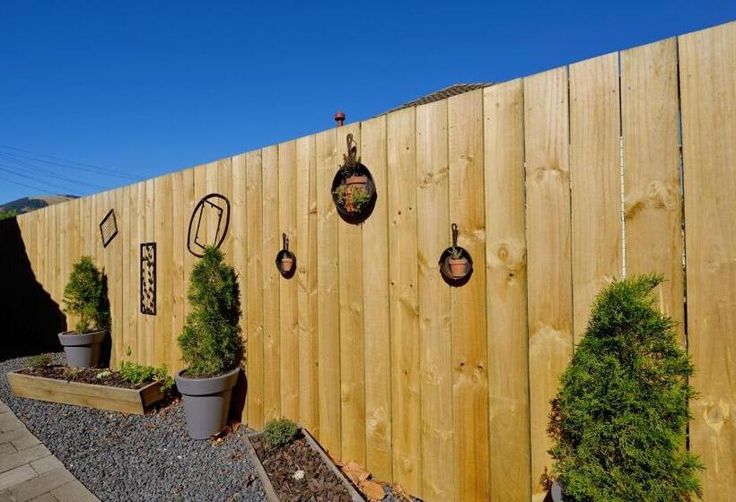 Студия Стандарт, Mosgiel Regency Motel