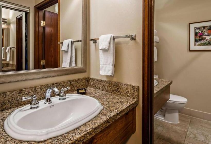 带大床的标准间, Best Western Plus Gold Country Inn