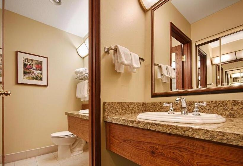 带大床的标准间, Best Western Plus Gold Country Inn