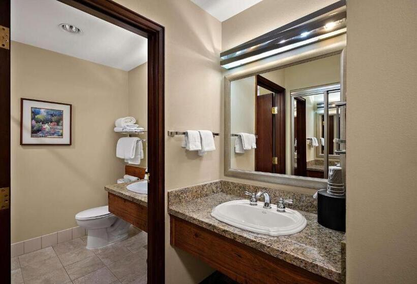 带大床的豪华间, Best Western Plus Gold Country Inn