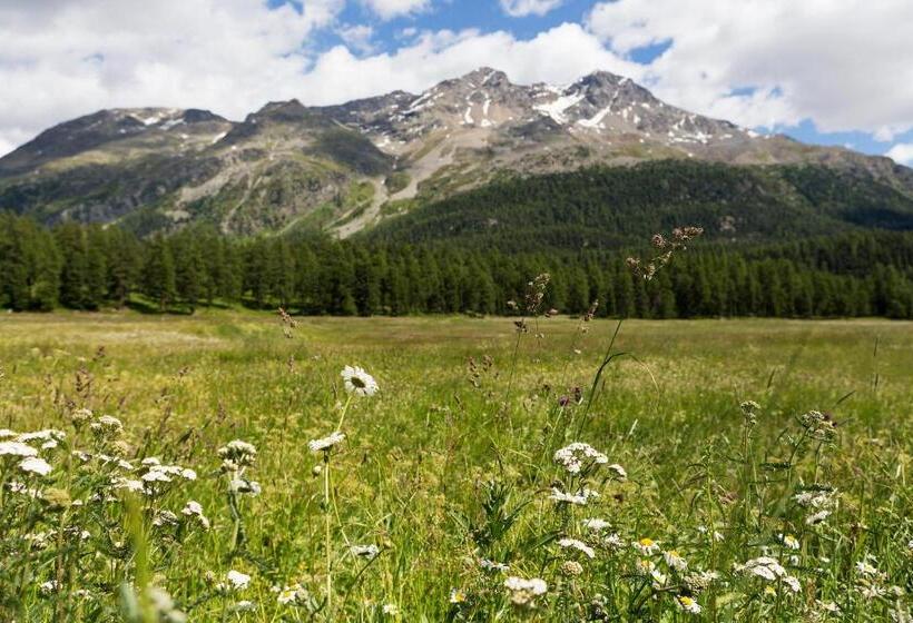 Номер Стандарт, Europa Suites St Moritz