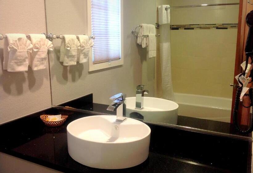 스탠다드 룸 킹사이즈 침대, Fairbridge Inn & Suites Gateway To Yosemite