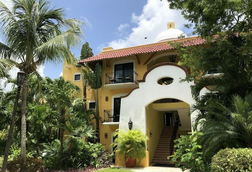 Quarto Deluxe, Occidental Cozumel   All Inclusive