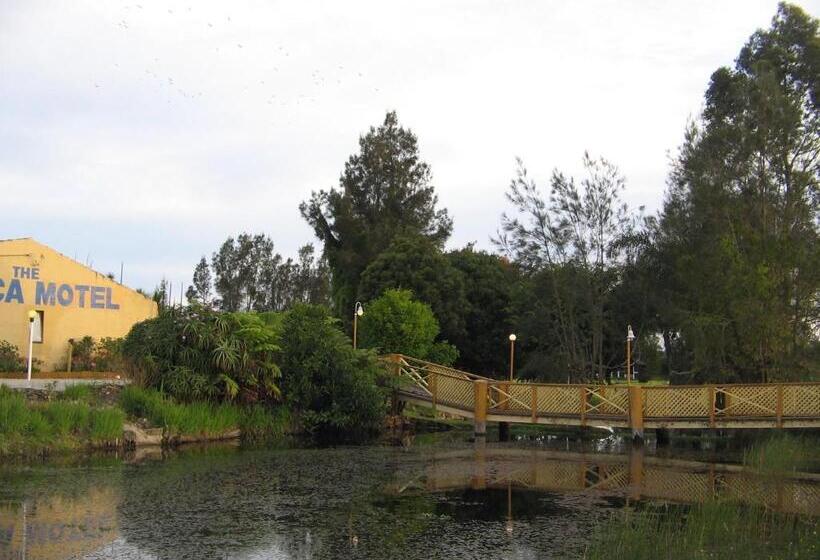带大床的豪华间, The Nambucca Motel