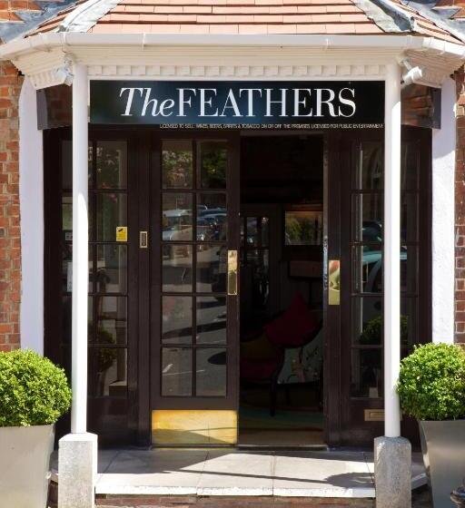 デラックスルーム, The Feathers