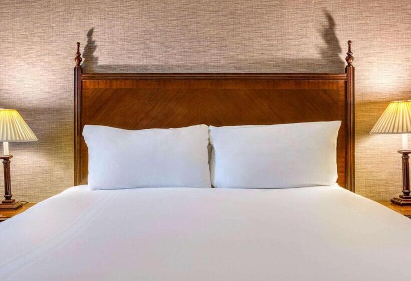 Классический Номер, Mercure Winchester Wessex