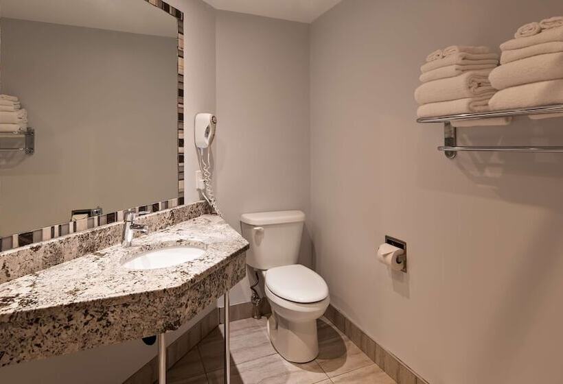 Номер Стандарт 2 Двуспальные Кровати, Best Western Hotel St. Jerome