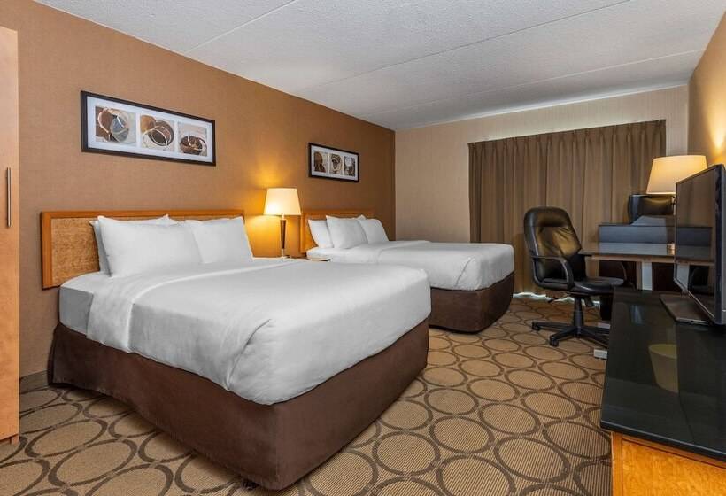 Номер Deluxe, Comfort Inn Airport East