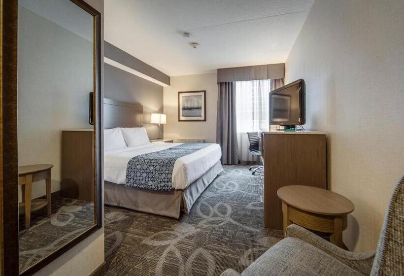 اتاق استاندارد با تخت دوبل, Monte Carlo Inn Airport Suites