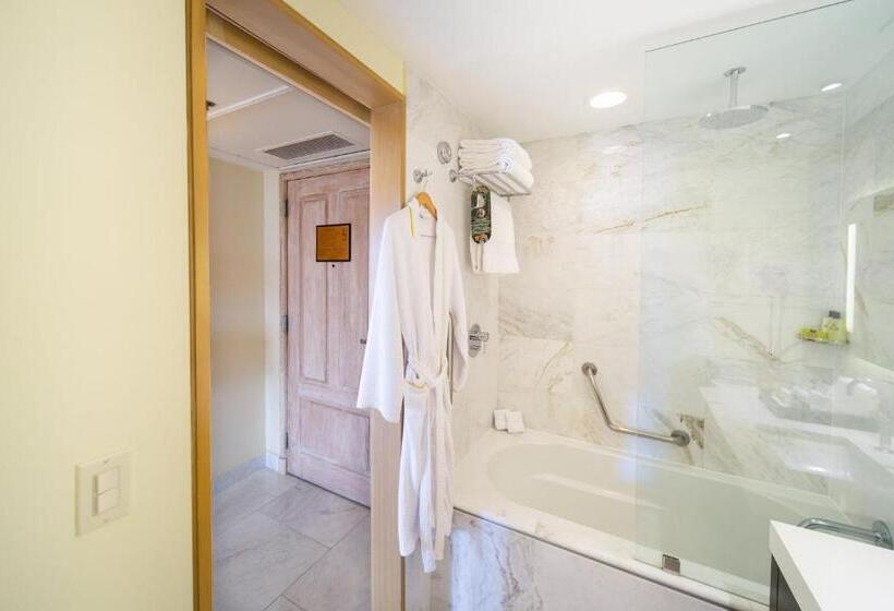 اتاق سوپریور با چشم‌انداز کوهستان, Real Intercontinental San Pedro Sula, An Ihg
