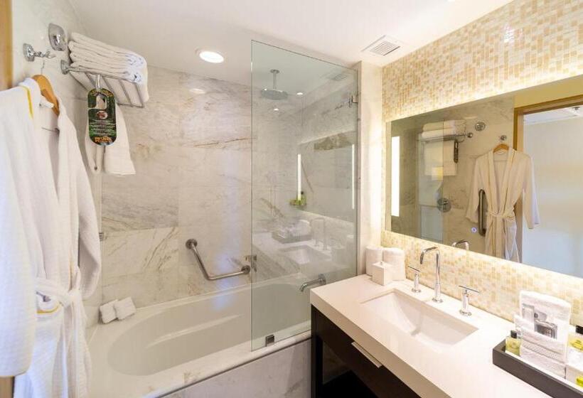 اتاق سوپریور با چشم‌انداز کوهستان, Real Intercontinental San Pedro Sula, An Ihg