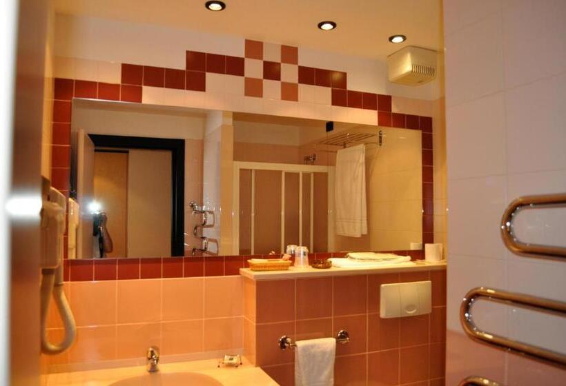 Номер Стандарт Индивидуальный, Best Western Hotel Solaf