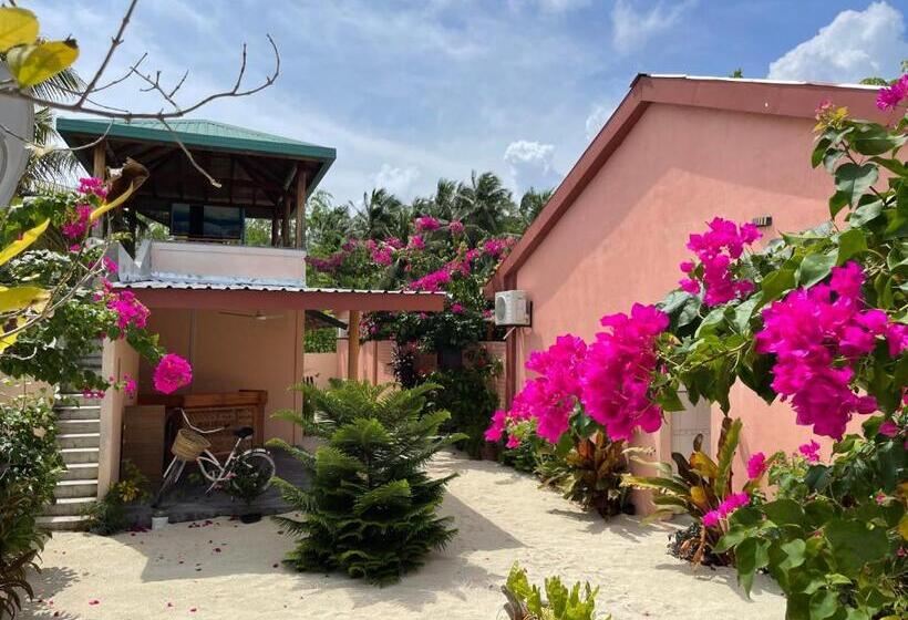 Deluxe Room, New Breeze Thoddoo Inn