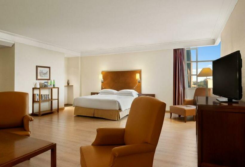 سوئیت اجرایی با تخت کینگ, Hilton Rome Airport