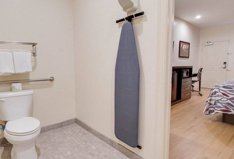 Номер Deluxe, Red Roof Inn Houston  Willowbrook
