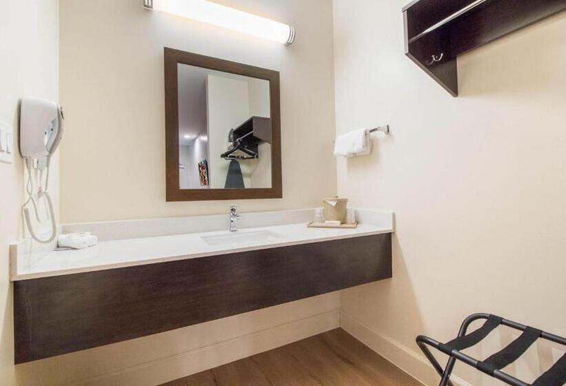 Номер Deluxe Кровать Куин, Red Roof Inn Houston  Willowbrook