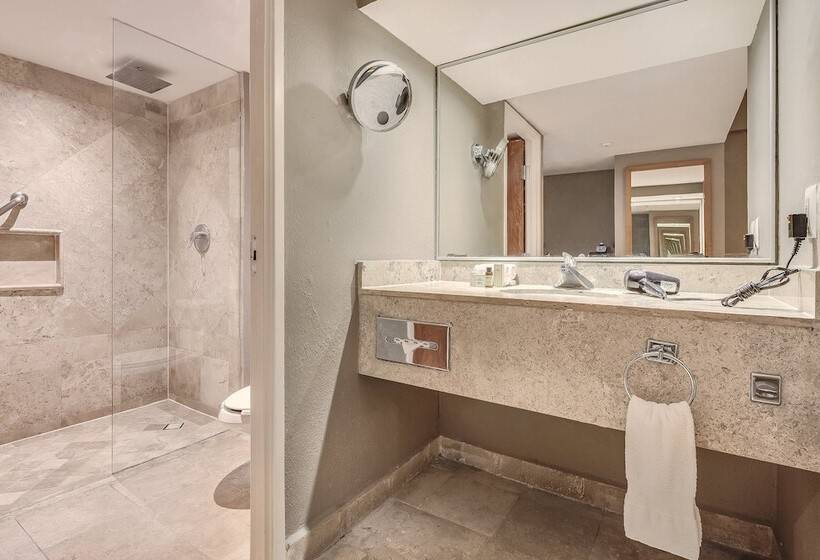 デラックスルーム, Fiesta Americana Acapulco Villas