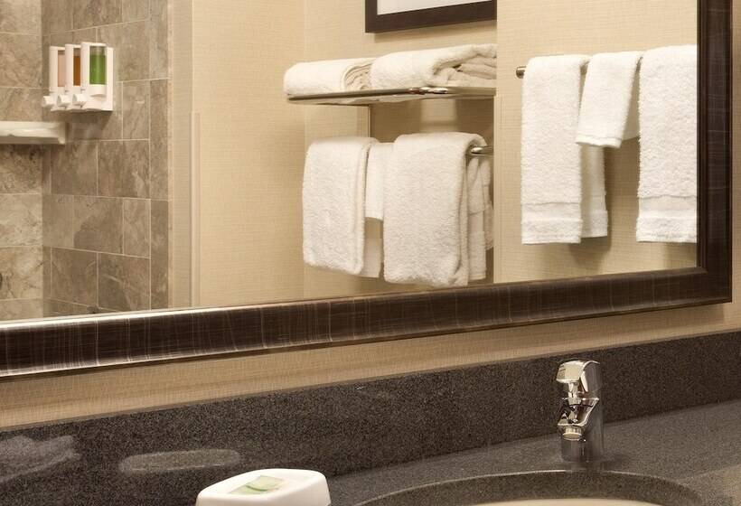 Номер Deluxe Адаптированный для Инвалидов, Drury Inn & Suites St. Louis Brentwood