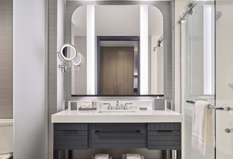 Номер Deluxe Адаптированный для Инвалидов, Loews Kansas City