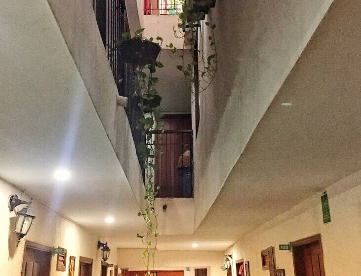 スタンダードルーム, Bacano Hostel
