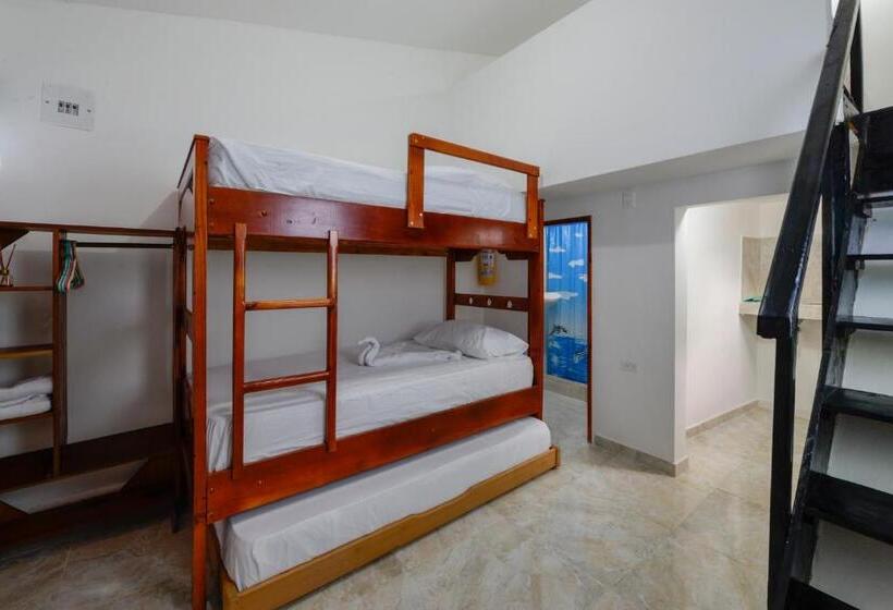 استودیوی استاندارد, Posada Amaripucci