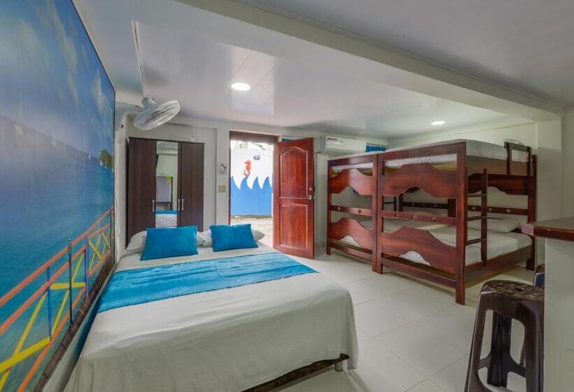 آپارتمان 1 خوابه, Posada Amaripucci