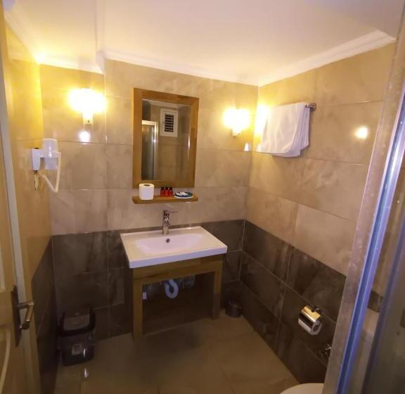 اتاق اکونومی, Hamit Hotel Istanbul