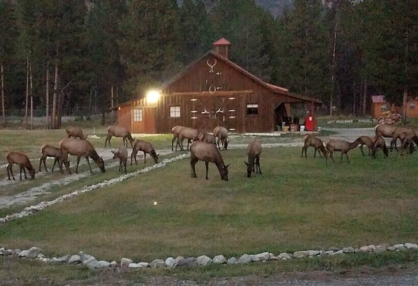 小室, The Wild Game Inn