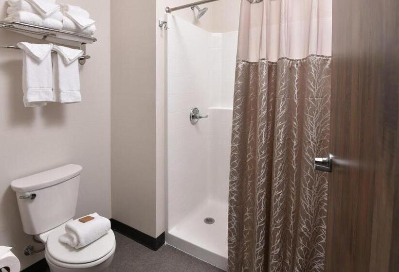 자쿠지 스위트, Stoney Creek Hotel Tulsa   Broken Arrow