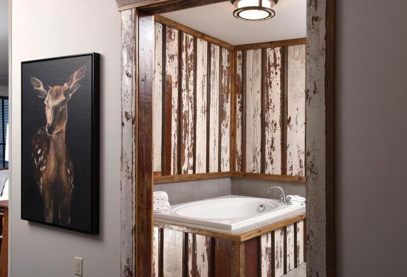 Полулюкс, Stoney Creek Hotel Tulsa   Broken Arrow