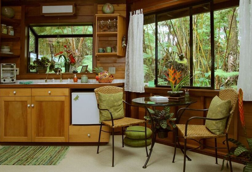Номер Стандарт, Volcano Rainforest Retreat