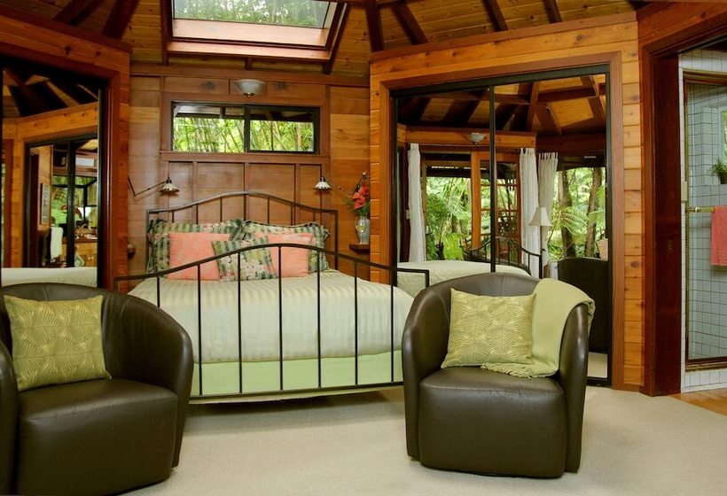 Номер Стандарт, Volcano Rainforest Retreat