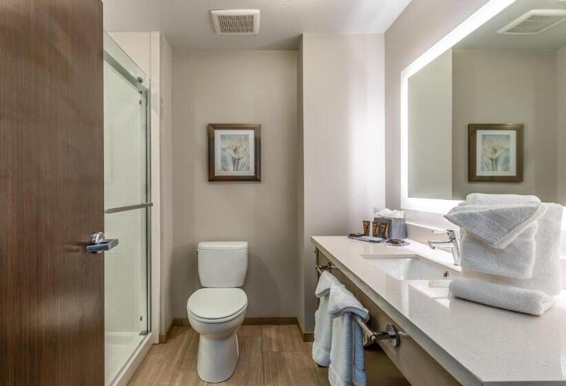 스위트, Hawthorn Extended Stay By Wyndham Loveland