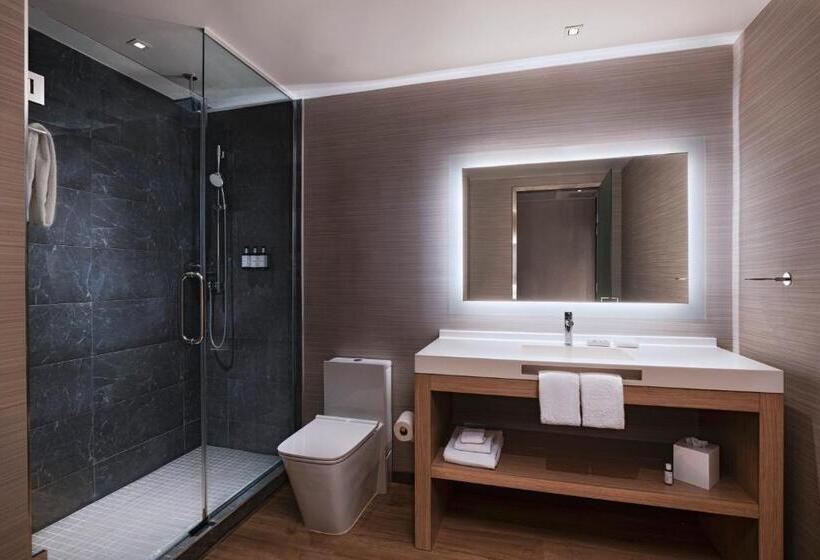 اتاق استاندارد با تخت بزرگ برای معلولان, Ac Hotel By Marriott Houston Downtown