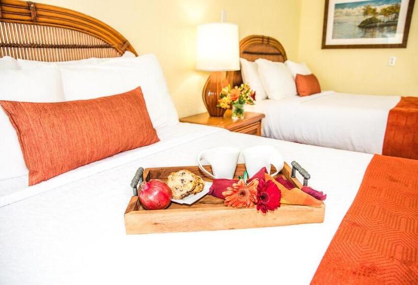 Студия Стандарт, Coconut Bay Resort   Key Largo